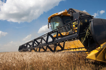 Agriculture